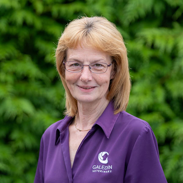 Belinda McArthur - GVG (Web)