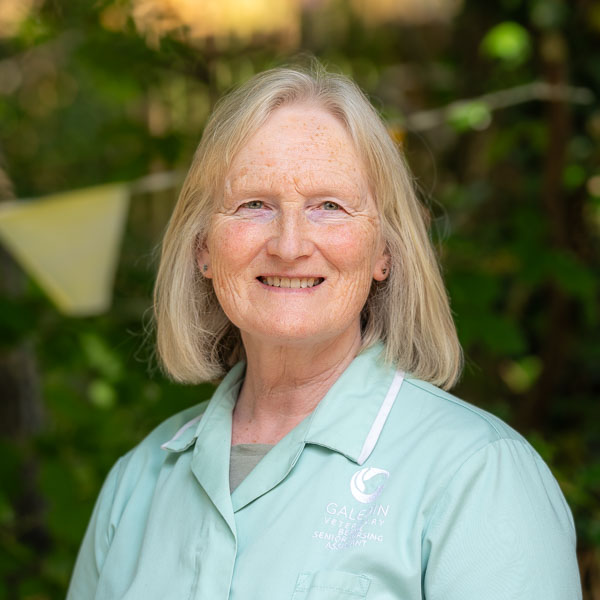 Bernie Baker - GVG (Web)