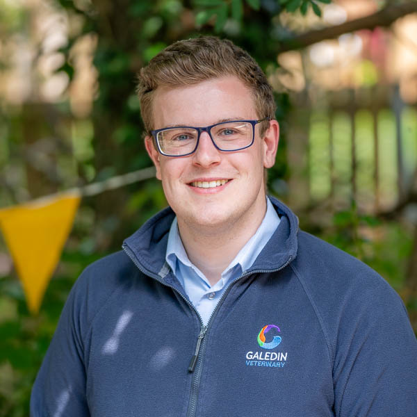 Cameron Pringle - GVG (Web)