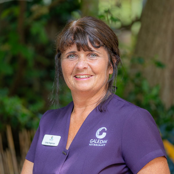 Linda Rogerson - GVG (Web)-2